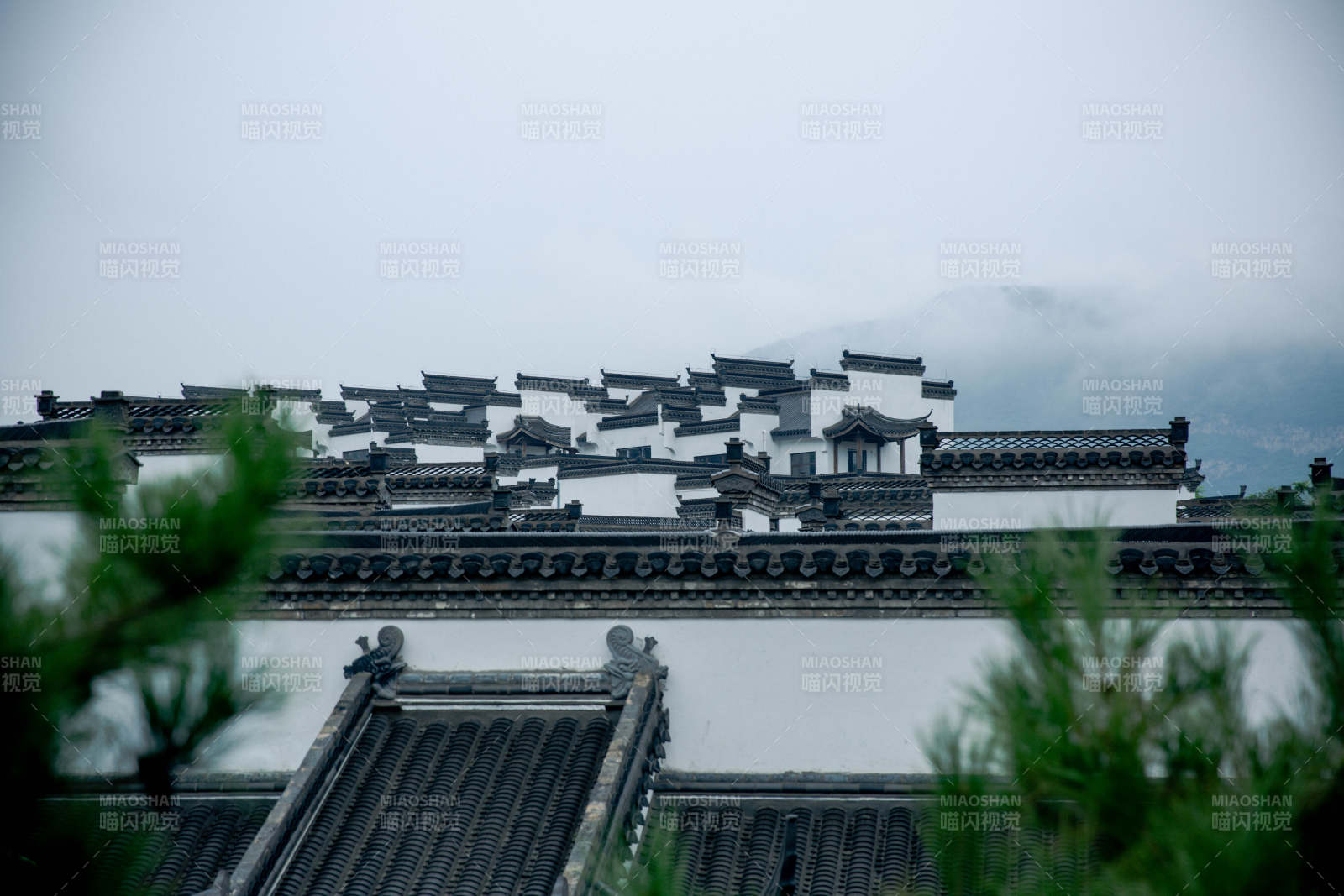 古建筑屋頂與松枝相映