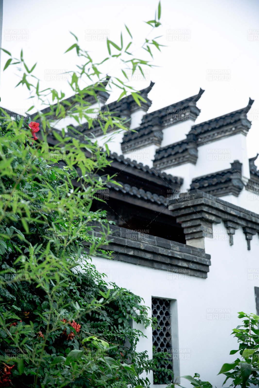 古建筑與綠植相映成趣