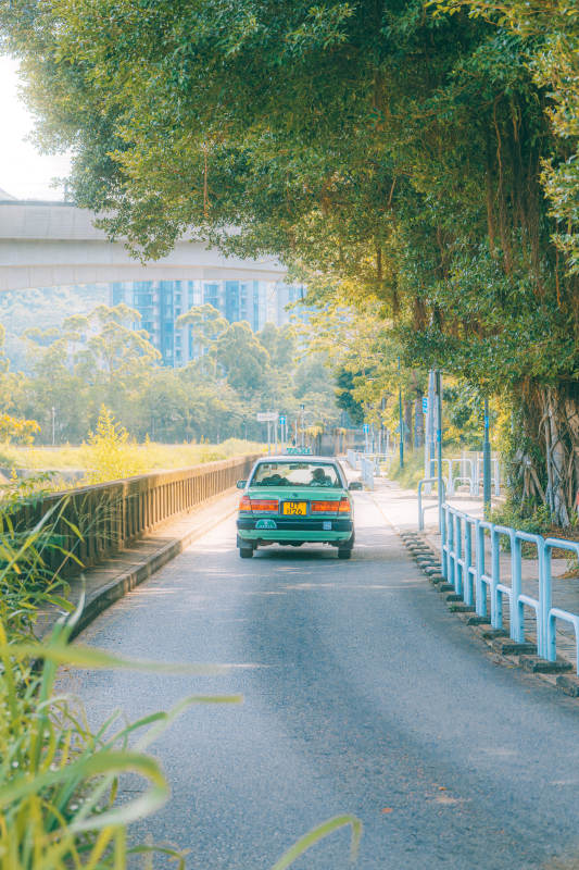 綠樹成蔭的鄉村小路