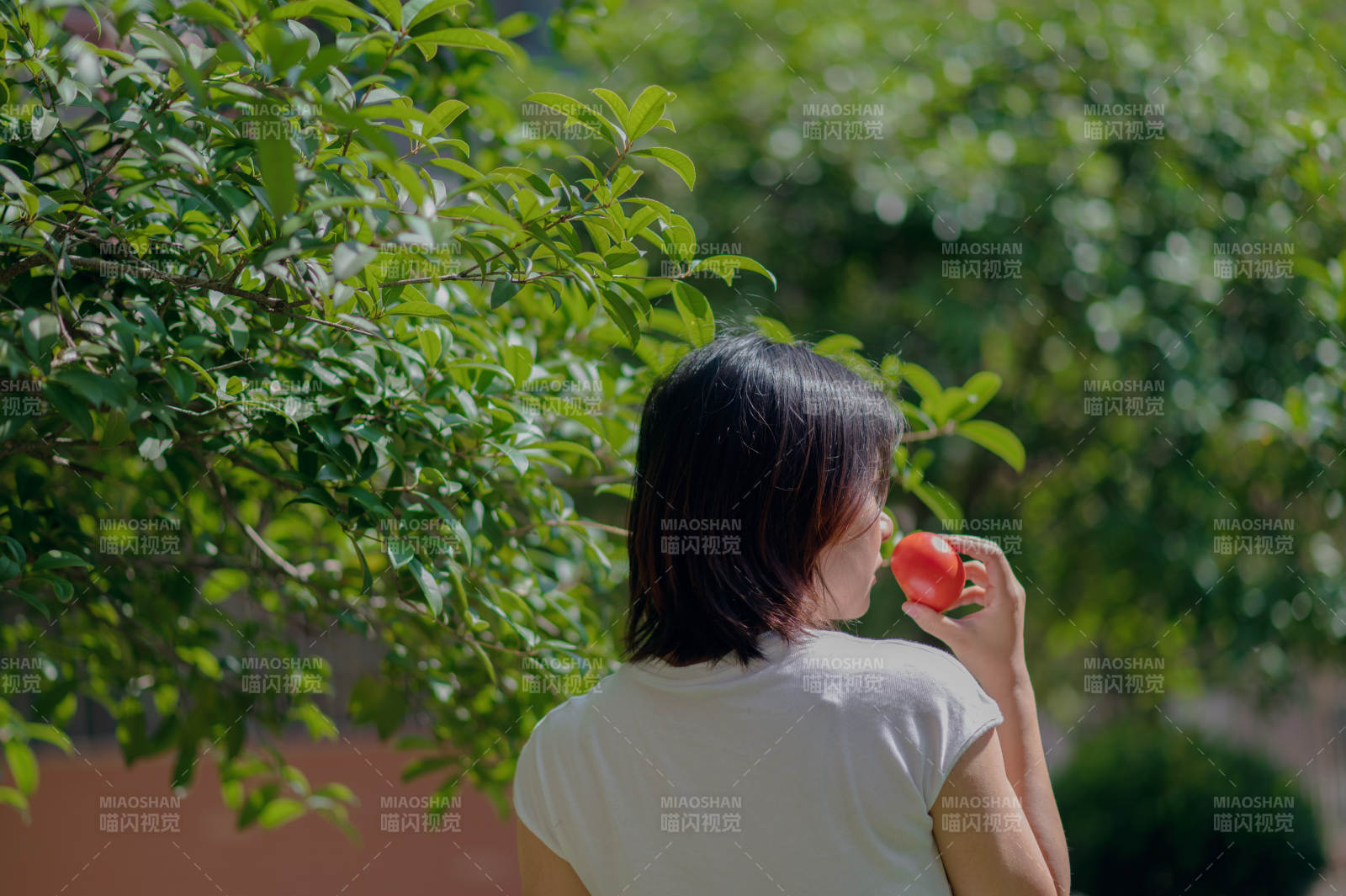 樹下女子品茗靜思