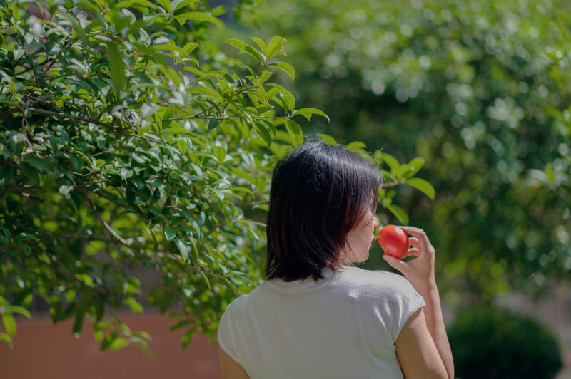 树下女子品茗静思