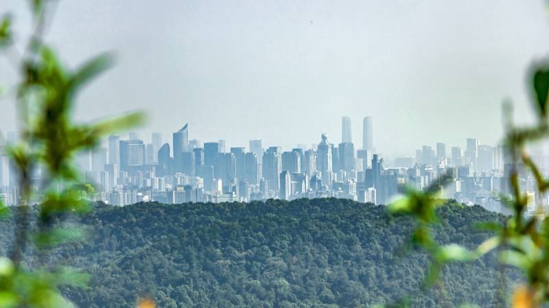 杭州城市天際線與綠植相映