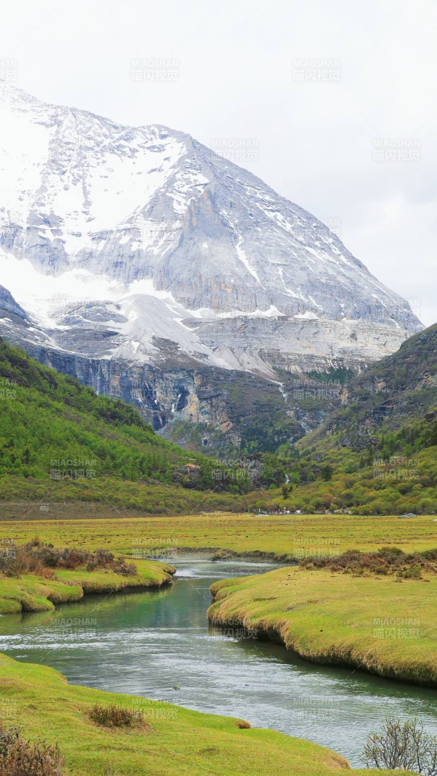 稻城亞丁，雪山下的寧靜溪流