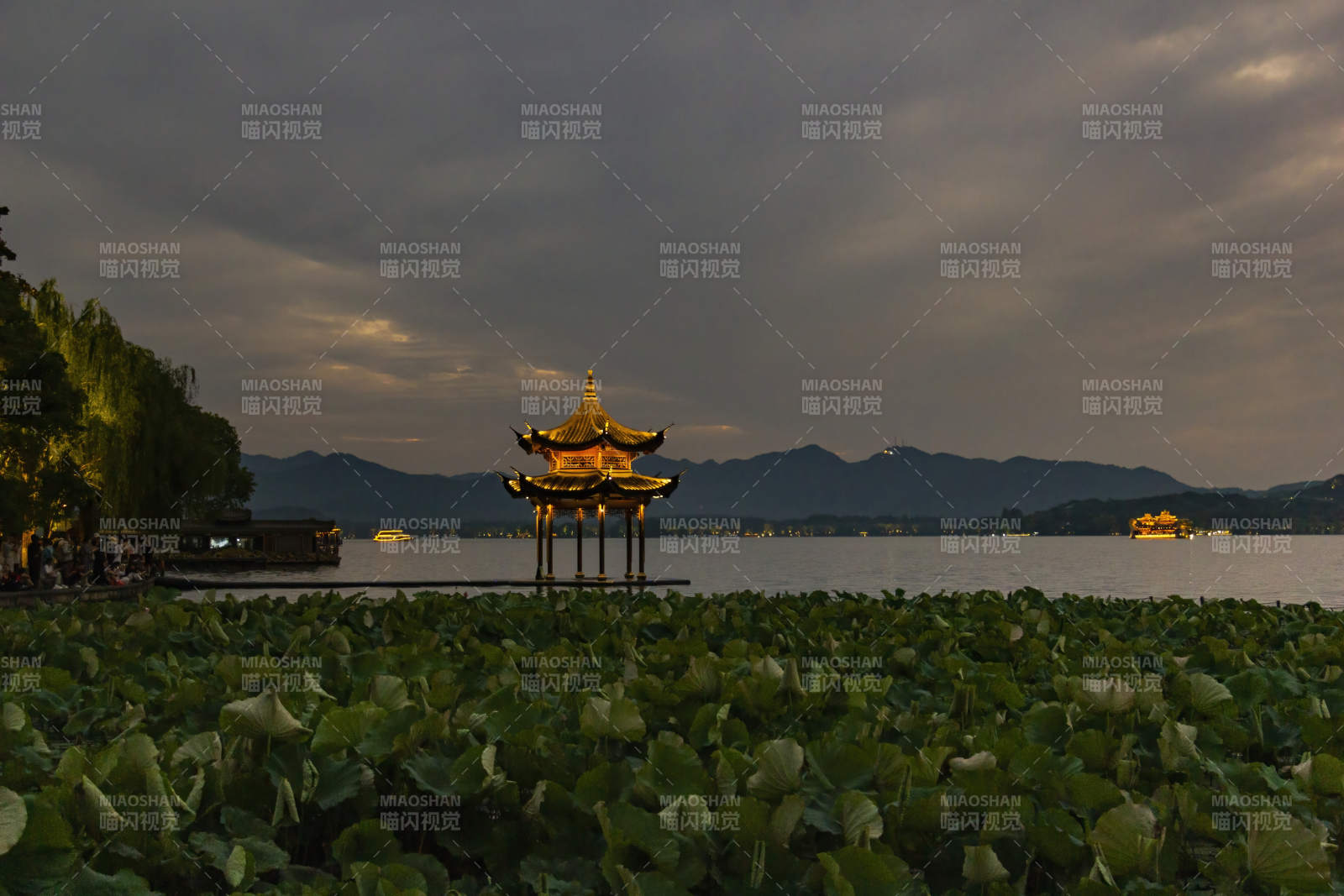 西湖夜景 亭臺映荷葉