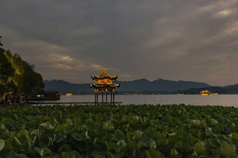 西湖夜景 亭臺映荷葉