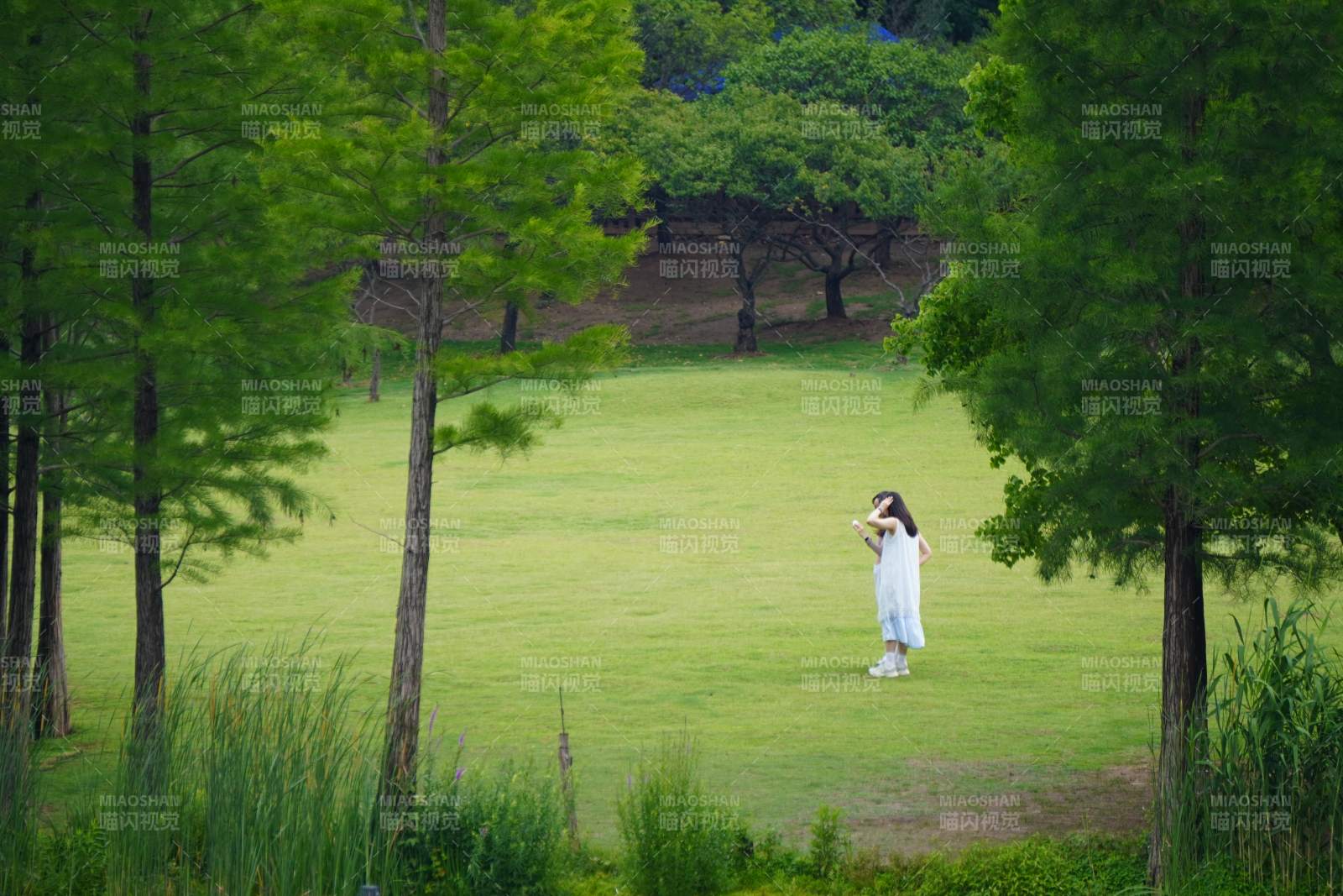 林間草地上的白衣女子