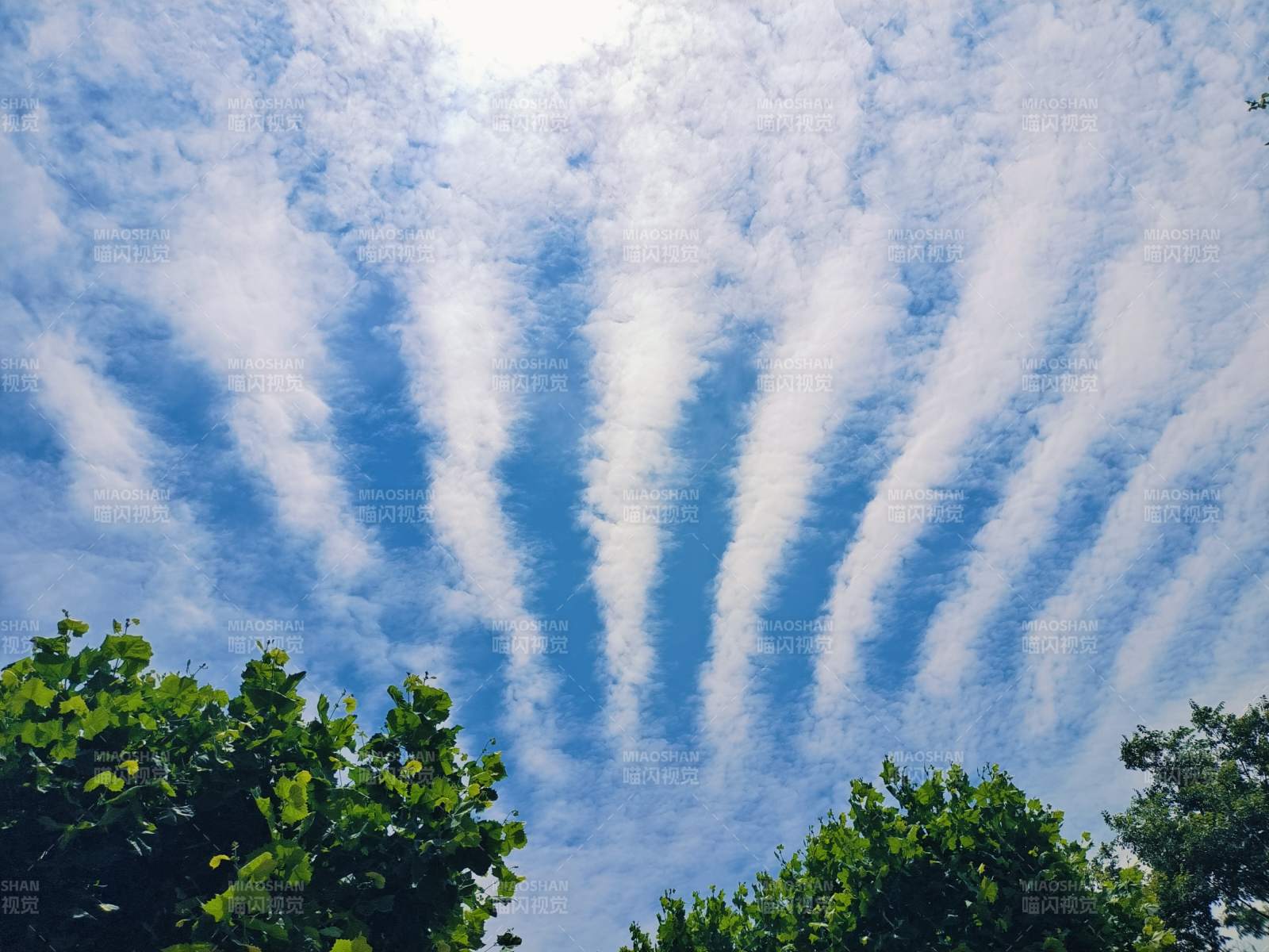 天空的條紋云彩