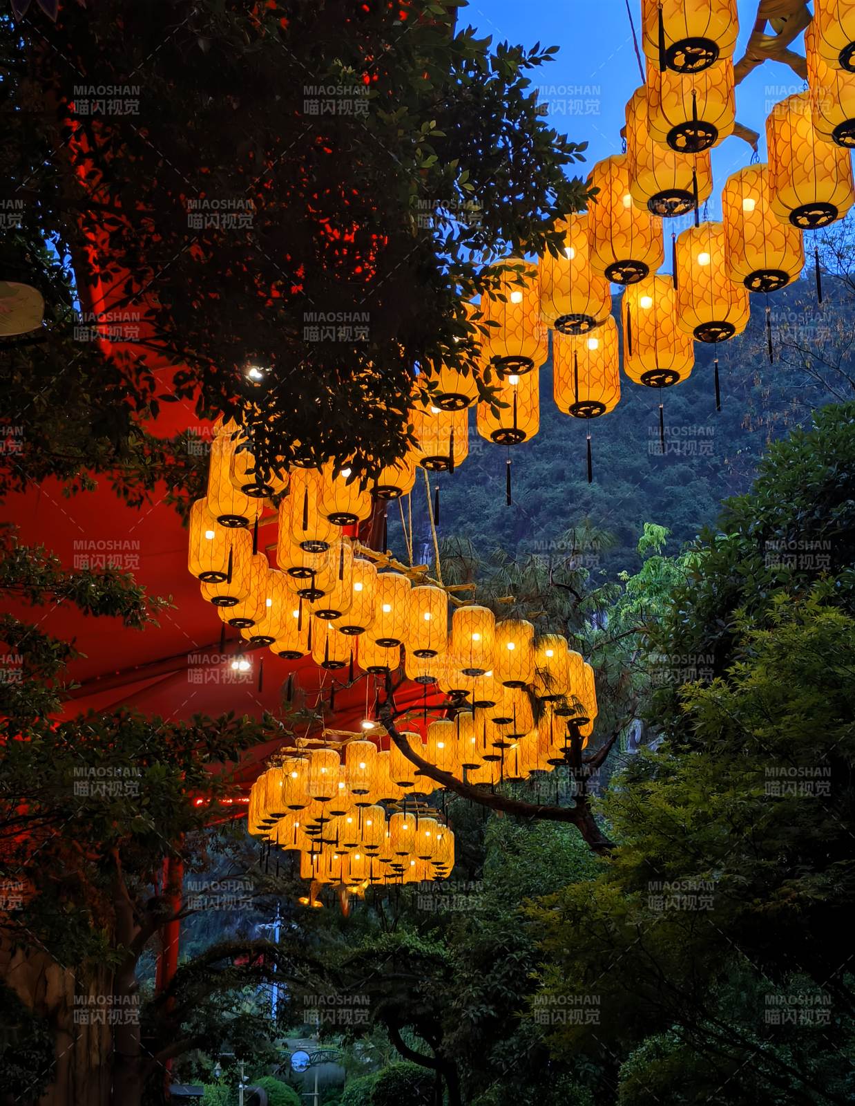夜景燈籠 樹影婆娑