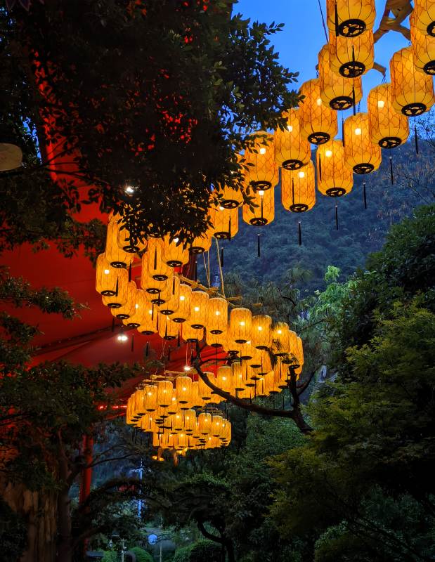 夜景燈籠 樹影婆娑