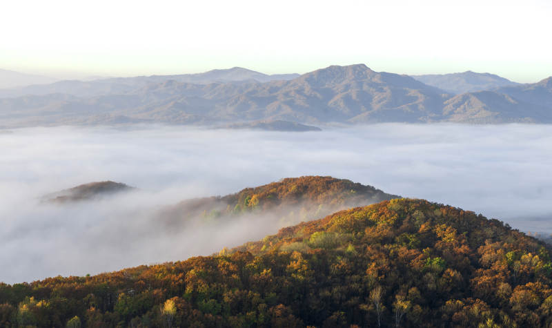 秋山云海 層林盡染