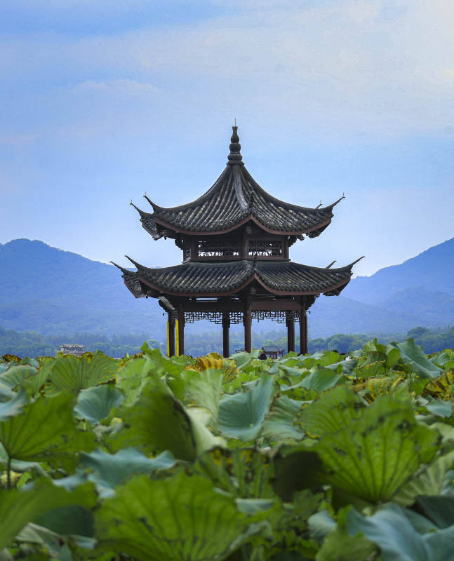 荷塘古塔映青山