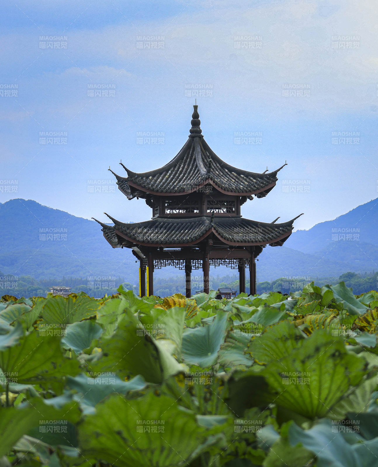 荷塘古塔映青山