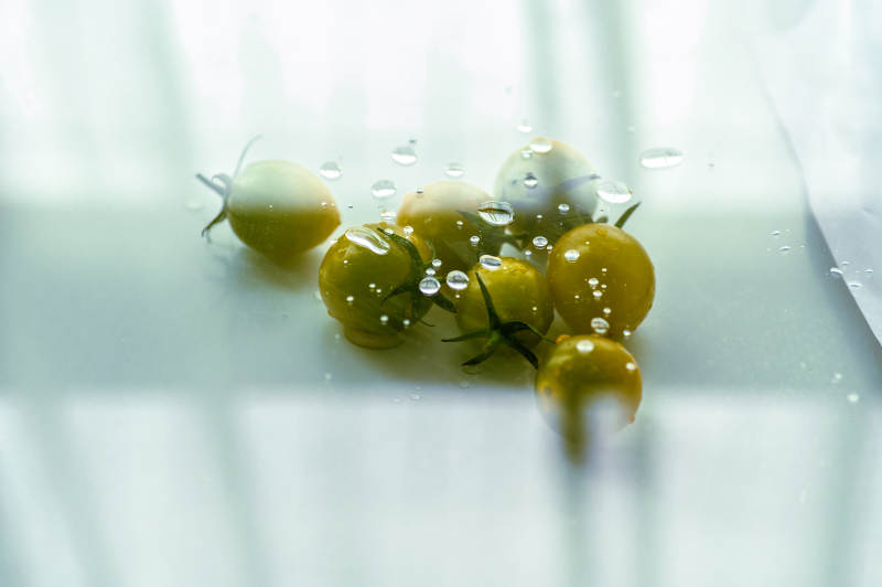 水中的小番茄