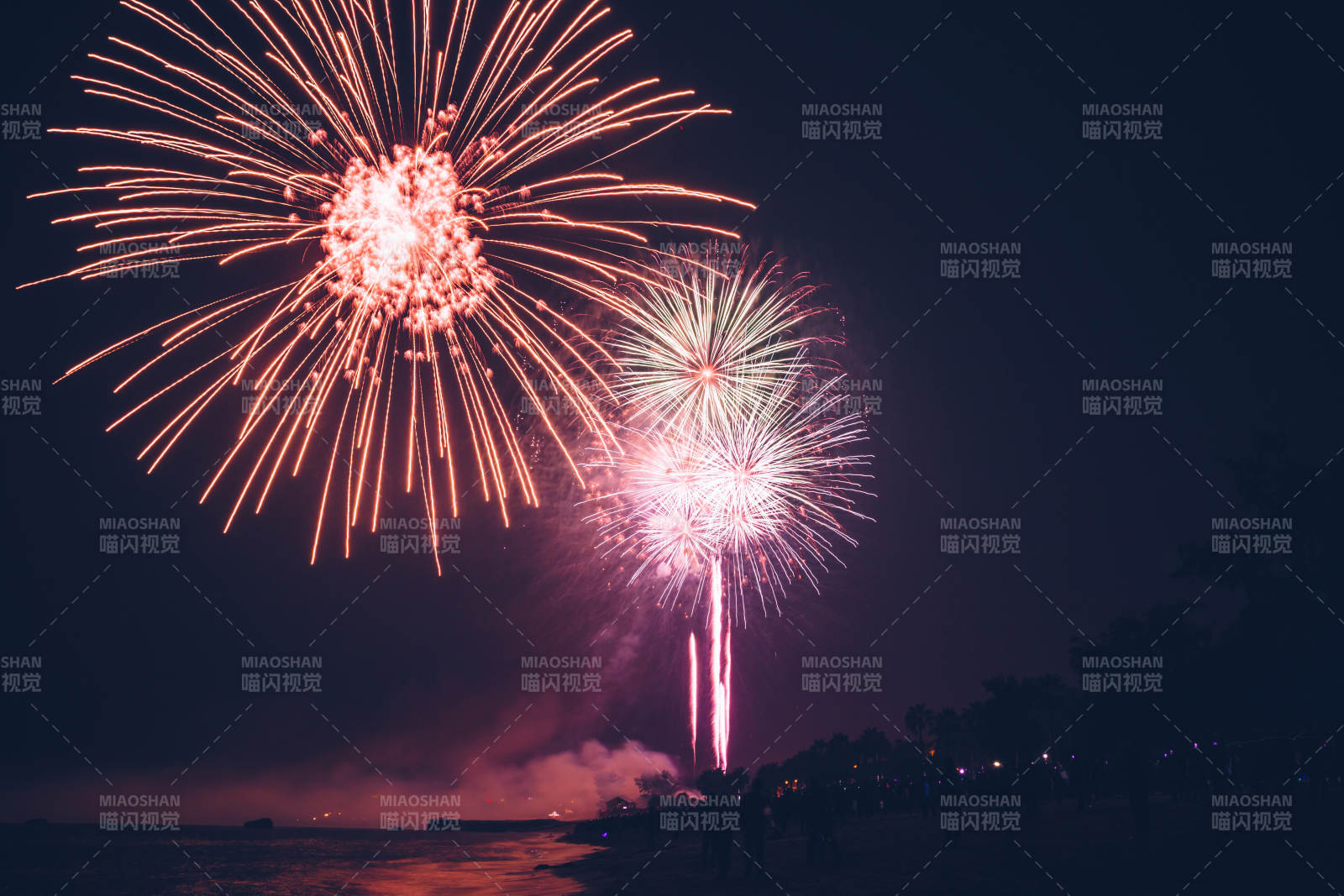 夜空煙花綻放 海邊歡慶