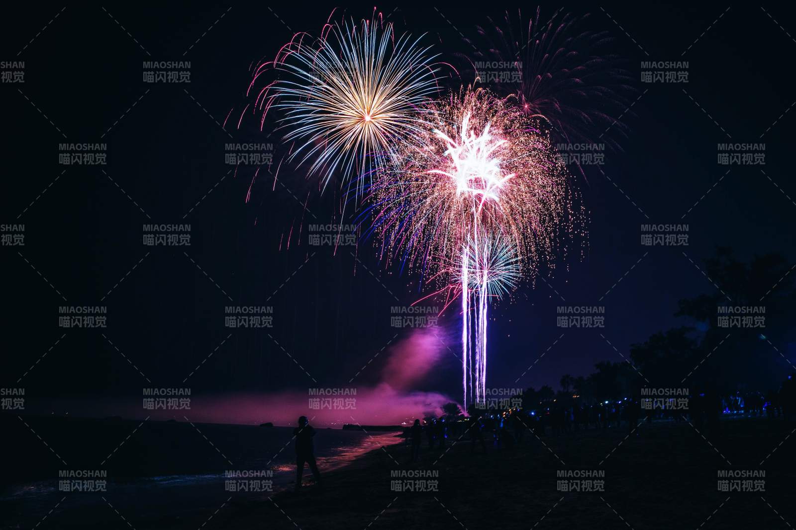 海邊夜空煙花綻放