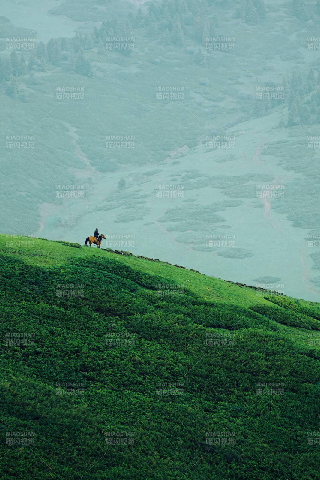 山間騎馬 綠野無垠