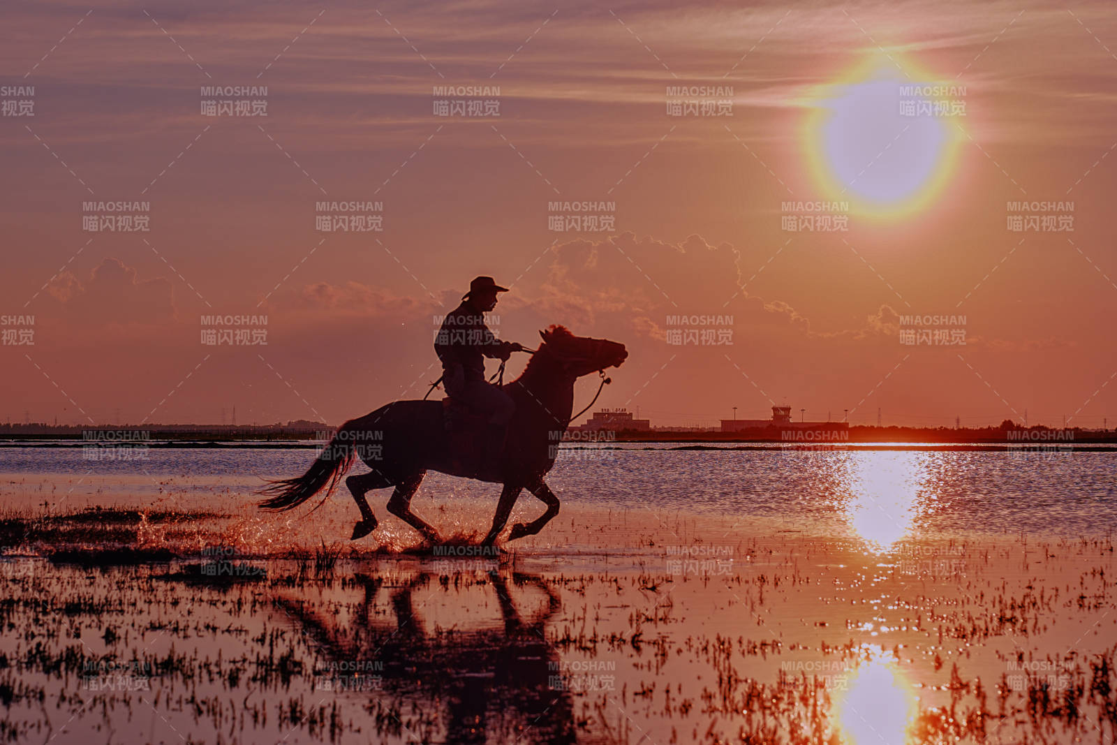 夕陽下的騎馬剪影
