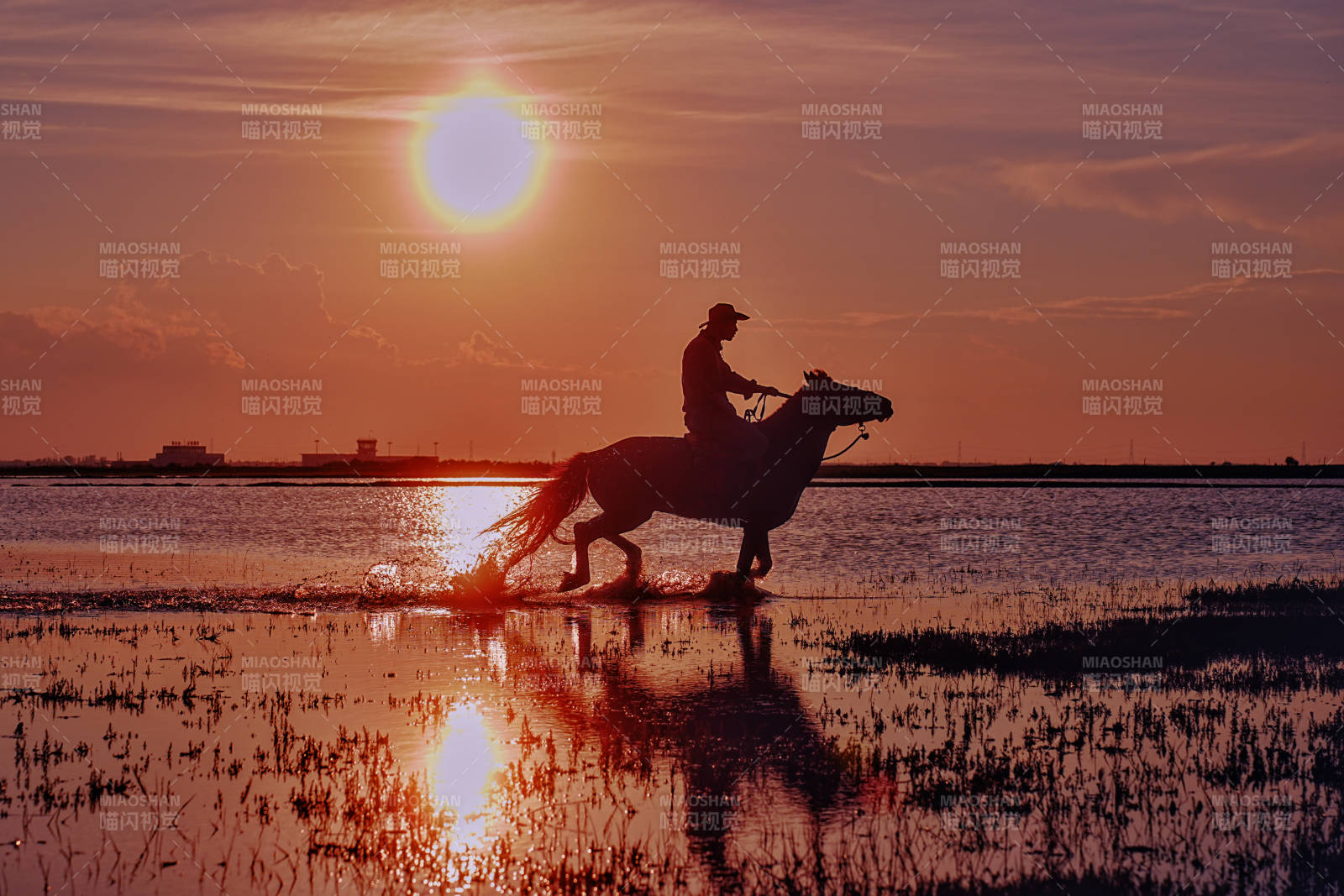 夕陽下的騎馬剪影