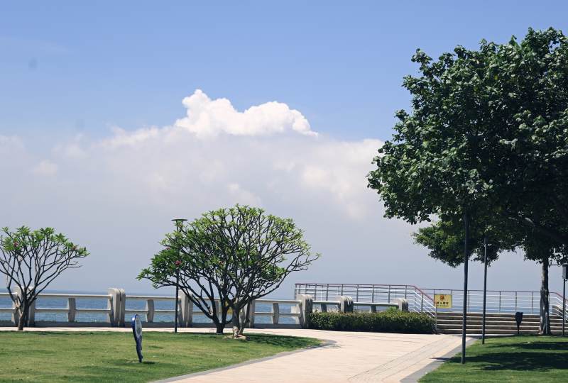 海邊綠樹與步道風(fēng)景