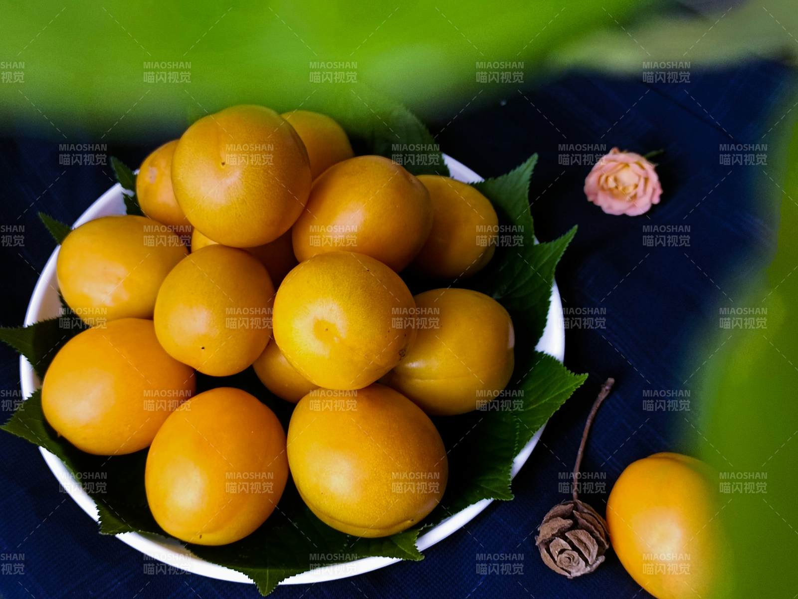 金黃果實 綠葉點綴