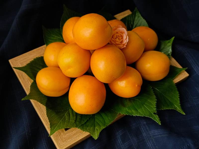金黃果實綠葉襯托