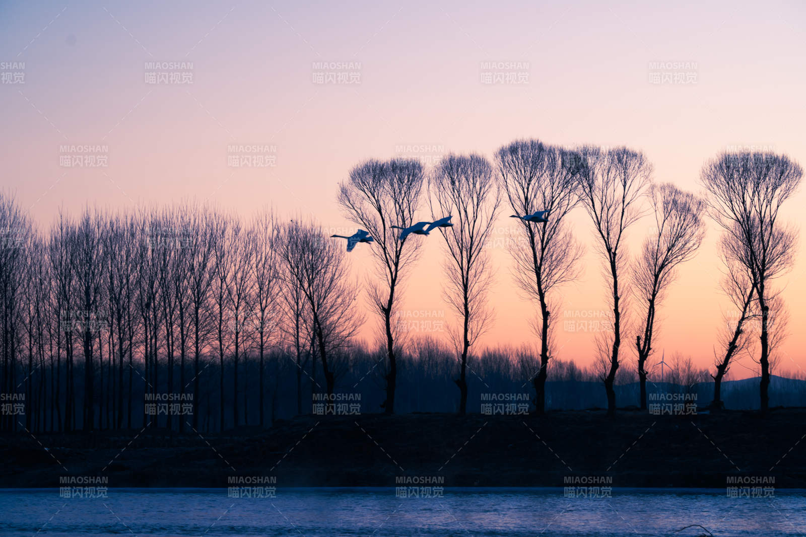 夕陽(yáng)飛鳥(niǎo)剪影圖