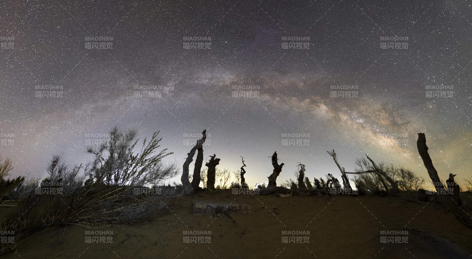 星空下的枯樹剪影