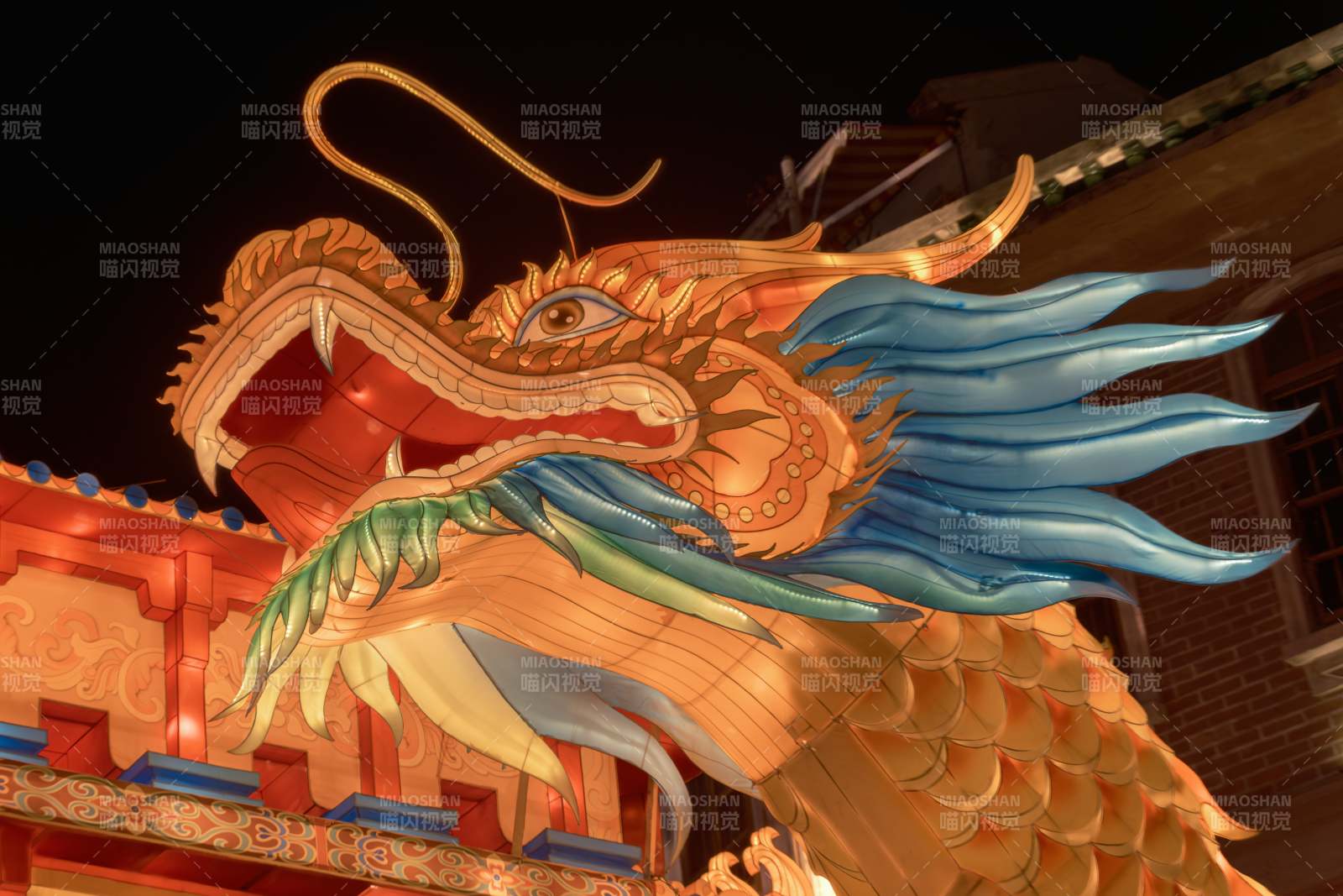 龍騰夜色 祥瑞之兆