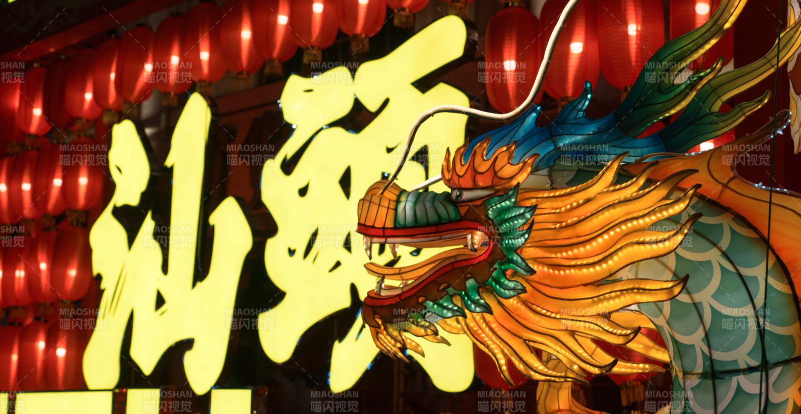 龍燈璀璨迎新春