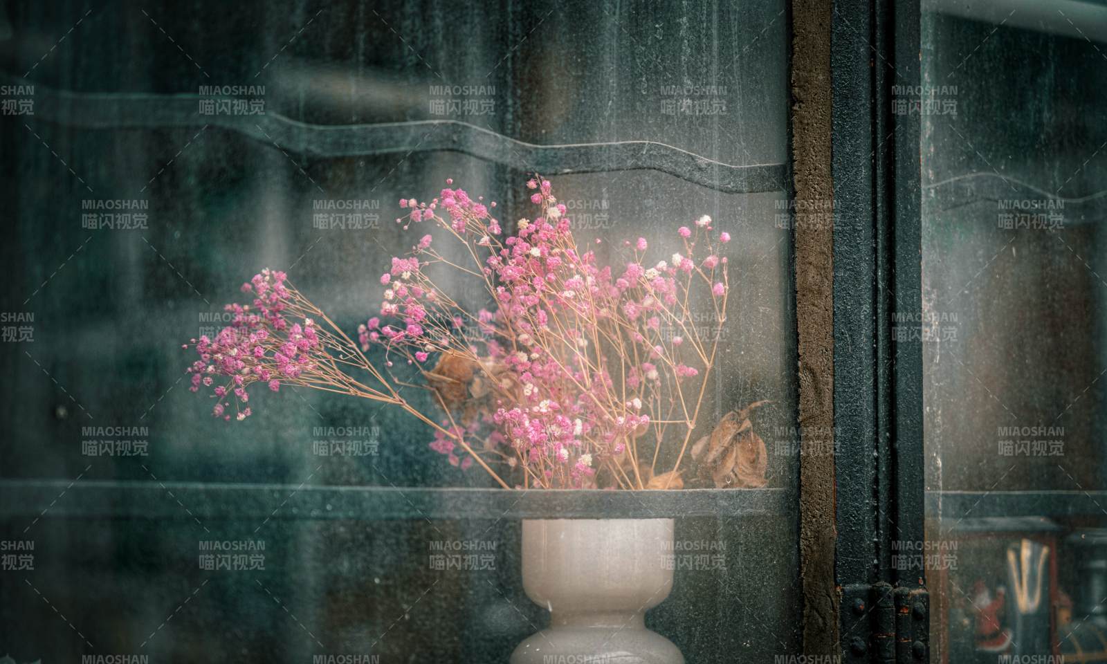 窗前花影 雨中靜謐