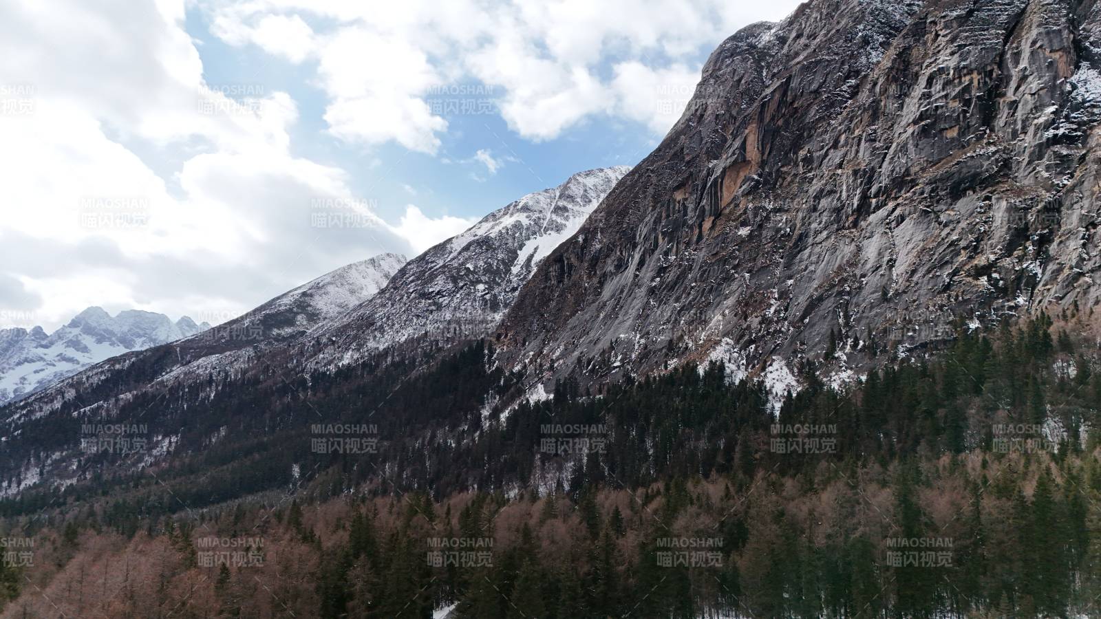 雪山森林 冬日美景