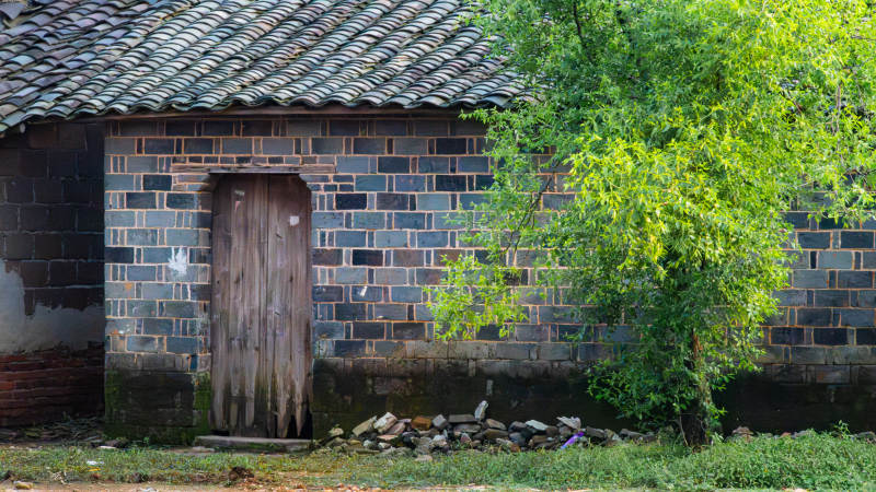 鄉(xiāng)村老屋與綠樹相伴