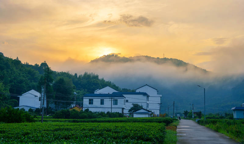 乡村晨曦 雾绕青山