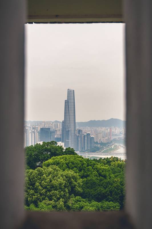 城市高樓與綠樹相映