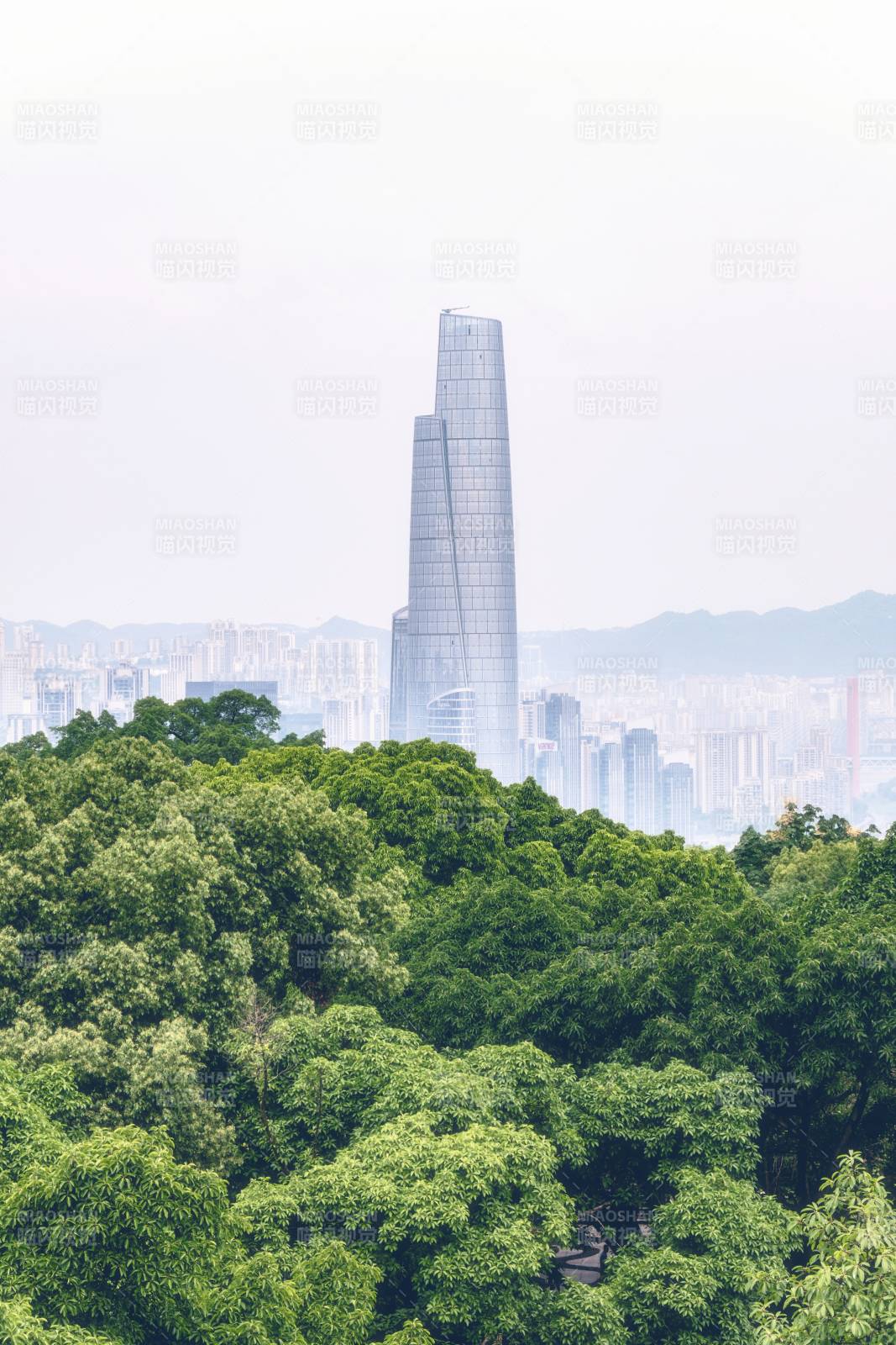城市高樓與綠樹相映成趣