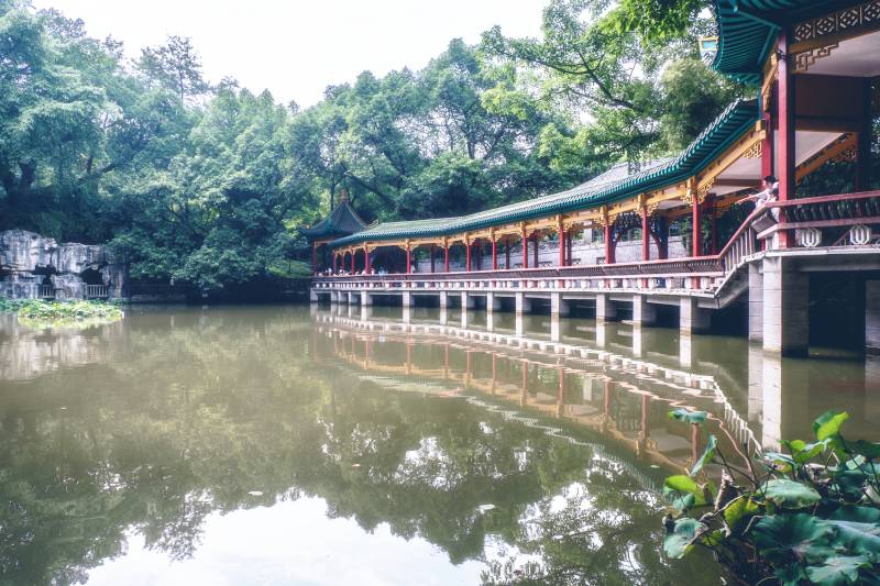 湖畔長廊 綠樹映水