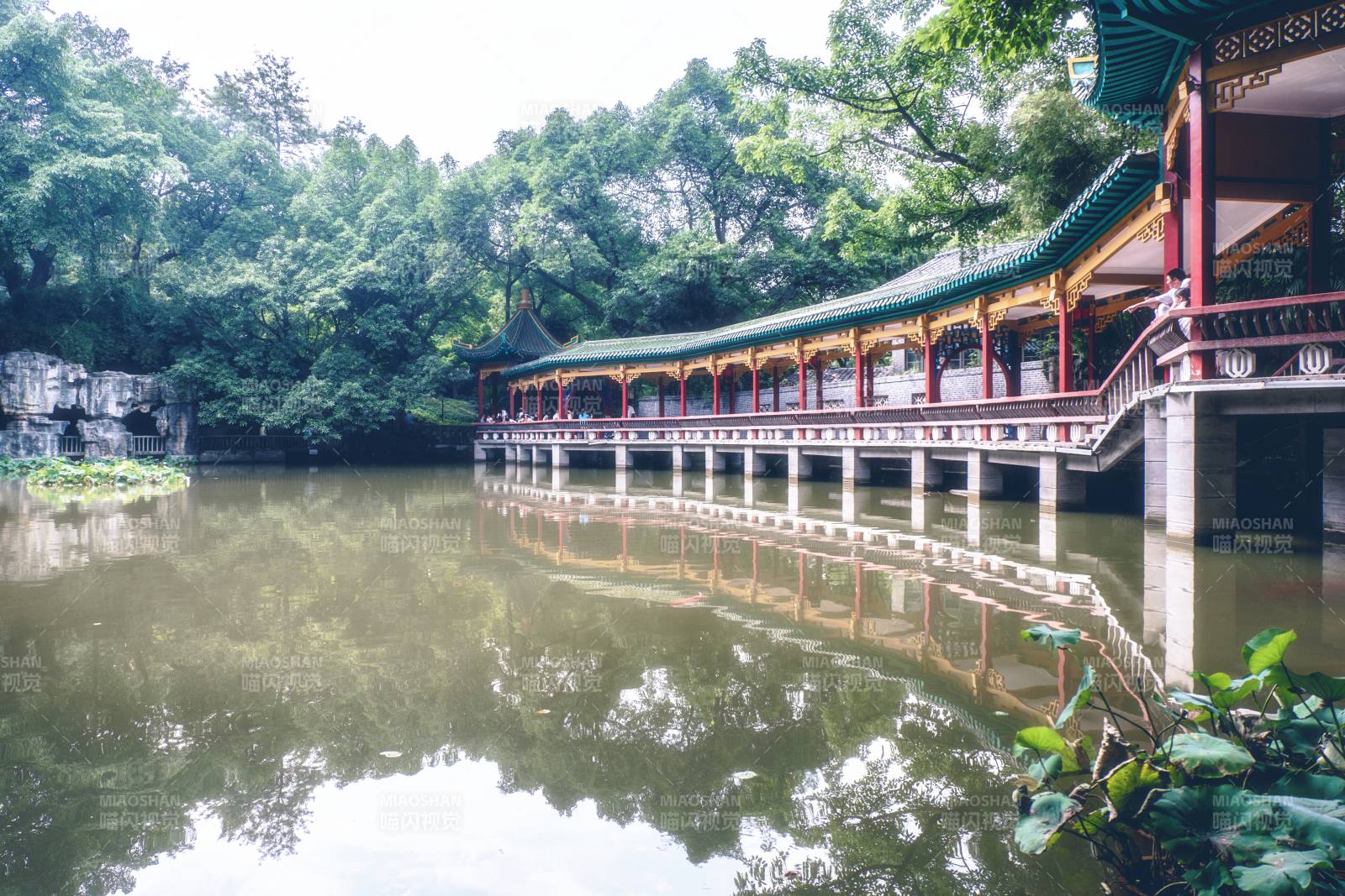 湖畔長廊 綠樹映水