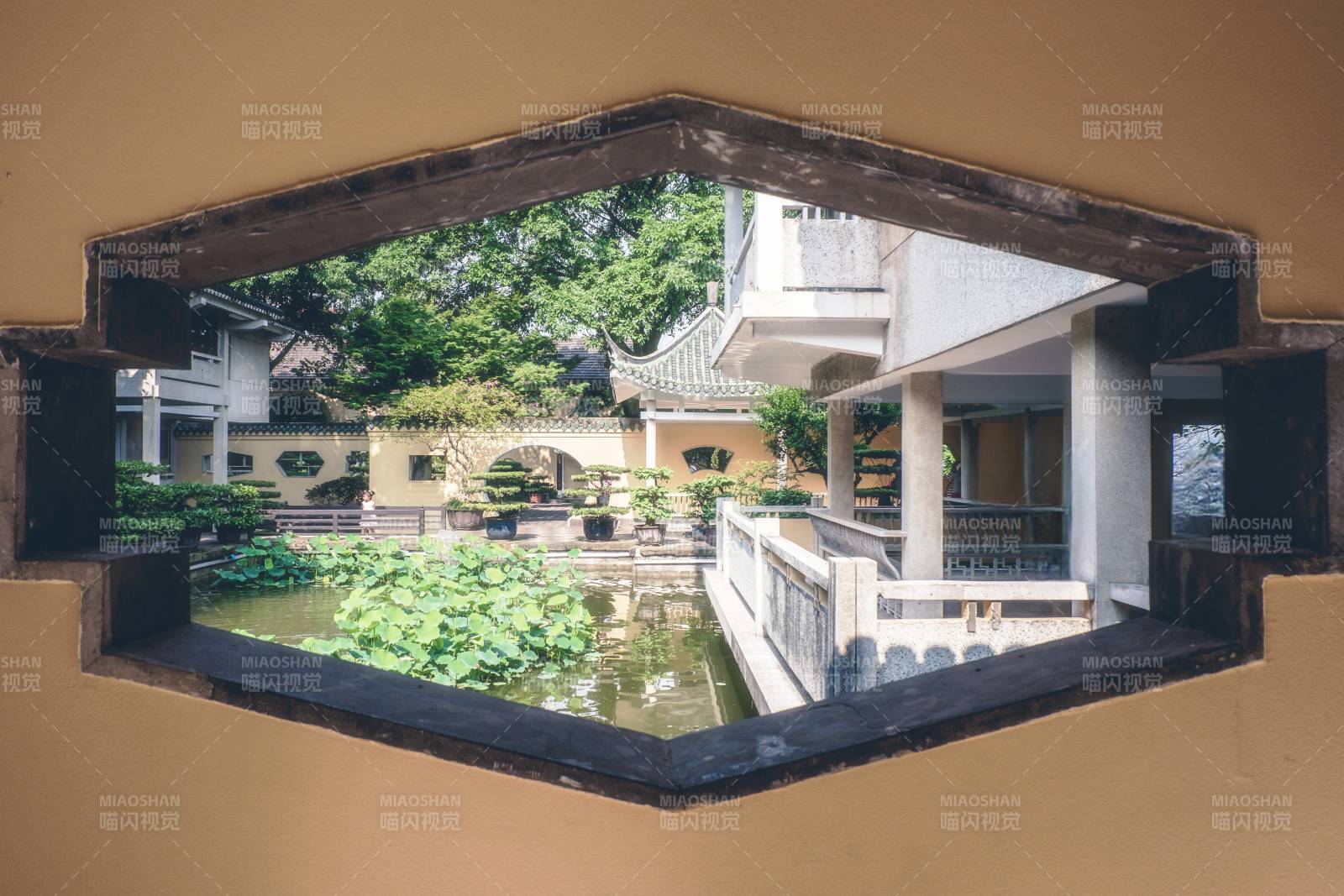 窗框中的庭院美景