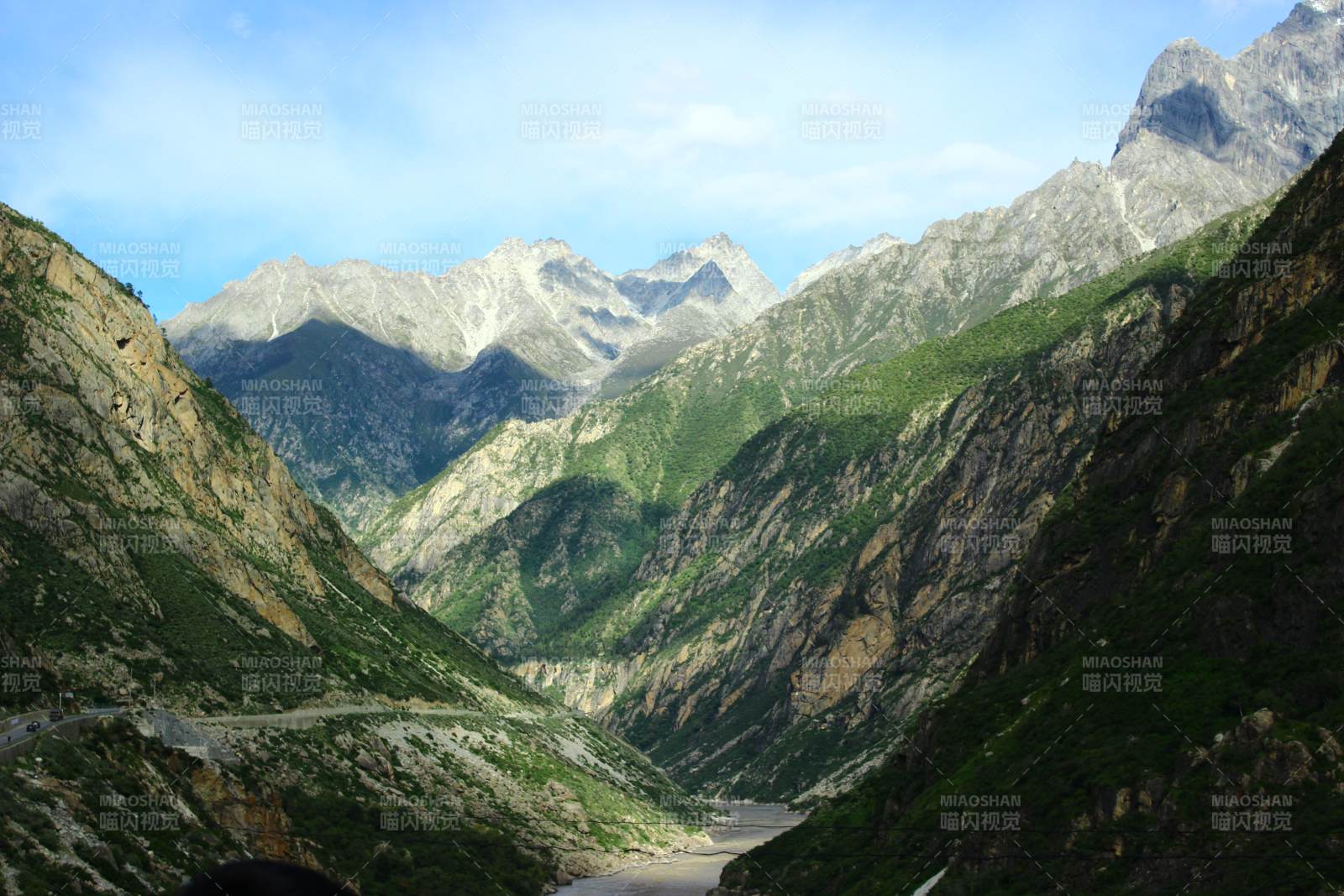 西藏達谷峽谷 高山峽谷 植物