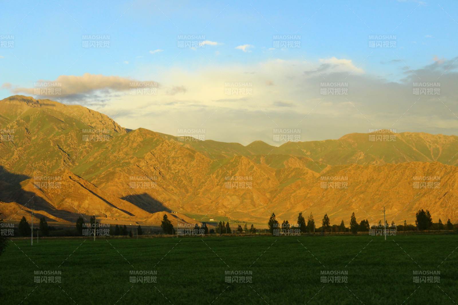 西藏 青稞田夕陽下的山巒與綠野
