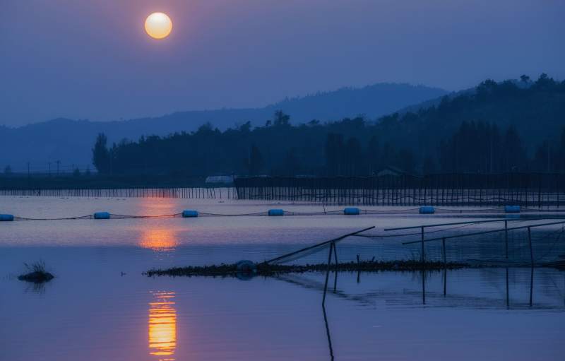 湖畔月色映水静谧夜景