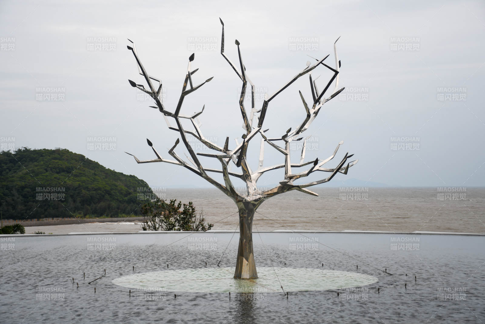 福州枯樹與海鳥的靜謐景象