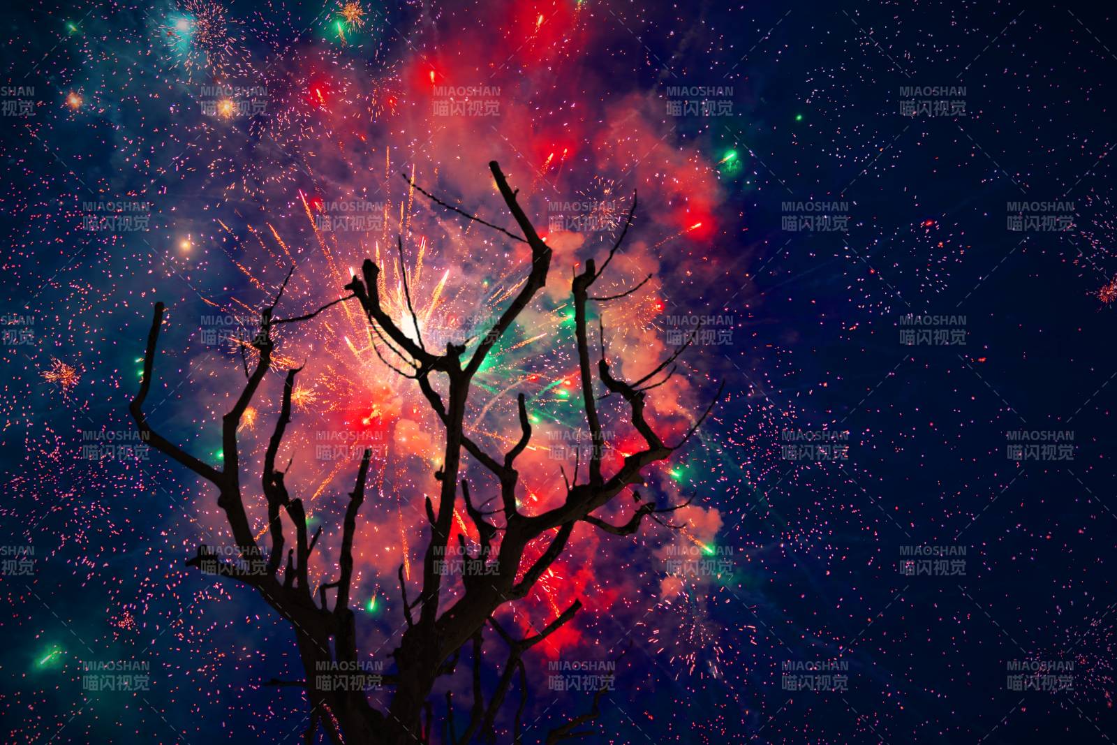 星空下的枯樹奇景