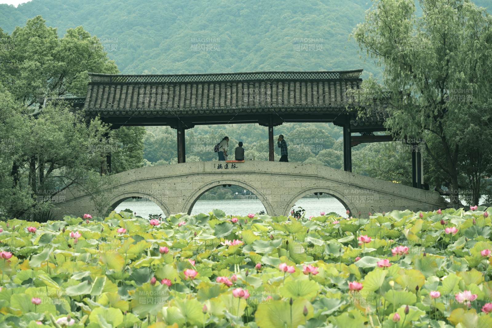 荷塘古橋 山水相映