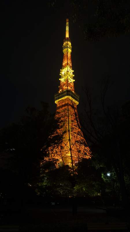 東京塔夜景燈光璀璨