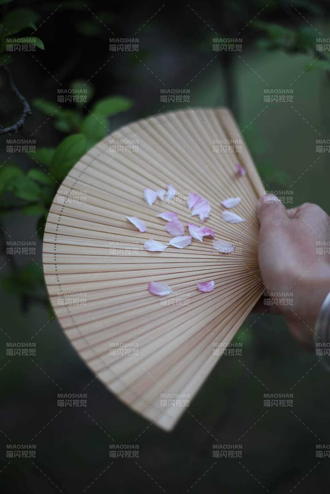 花瓣輕落竹扇間