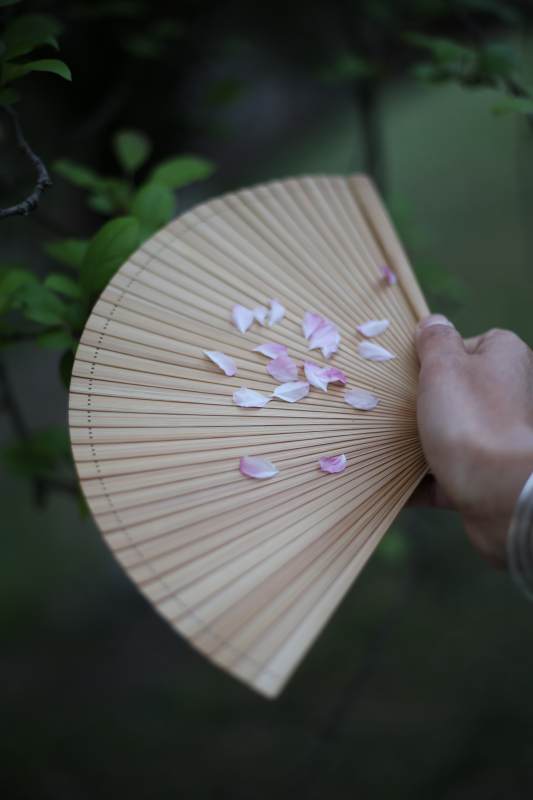 花瓣輕落竹扇間