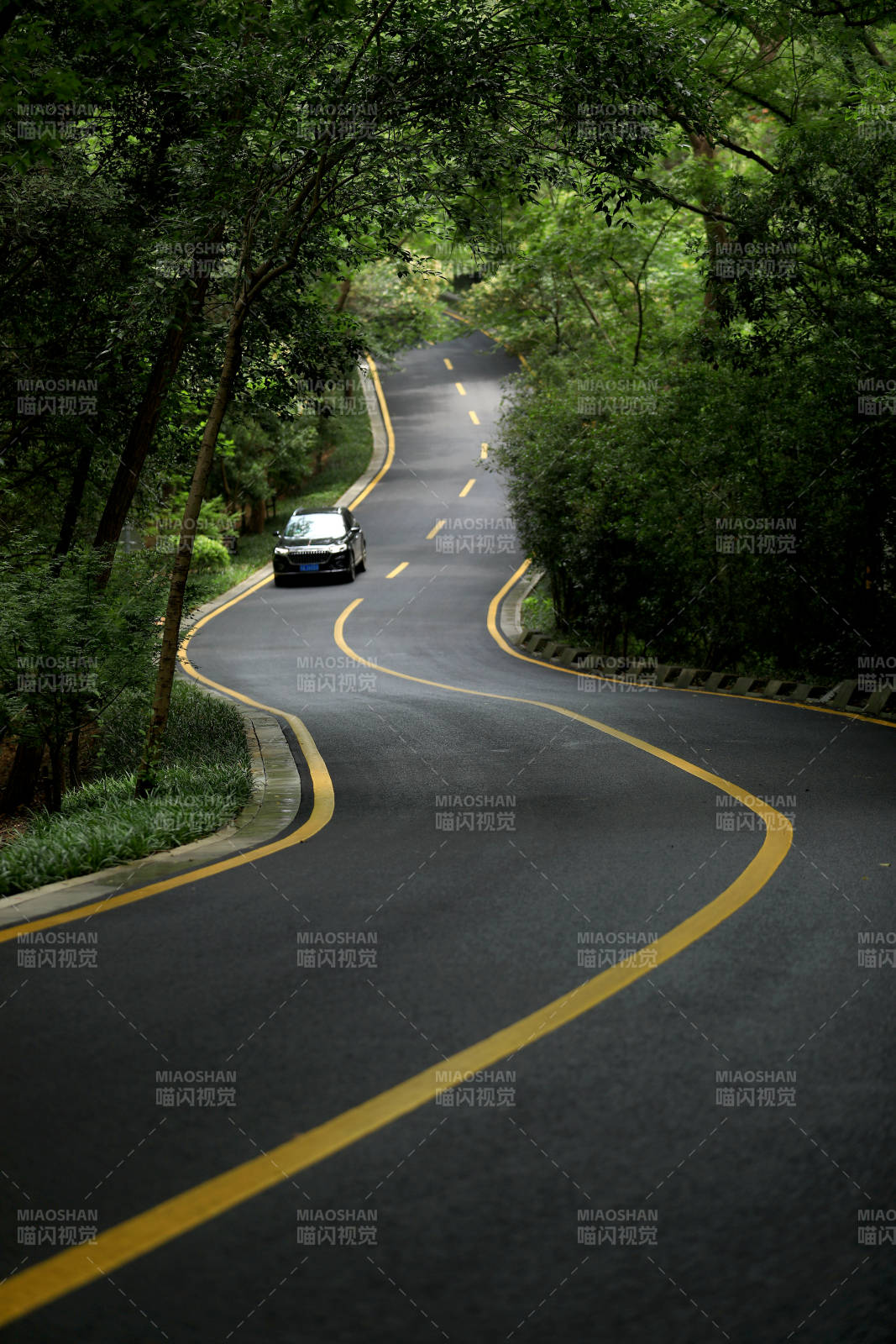 一輛汽車行駛在蜿蜒起伏的森林公路