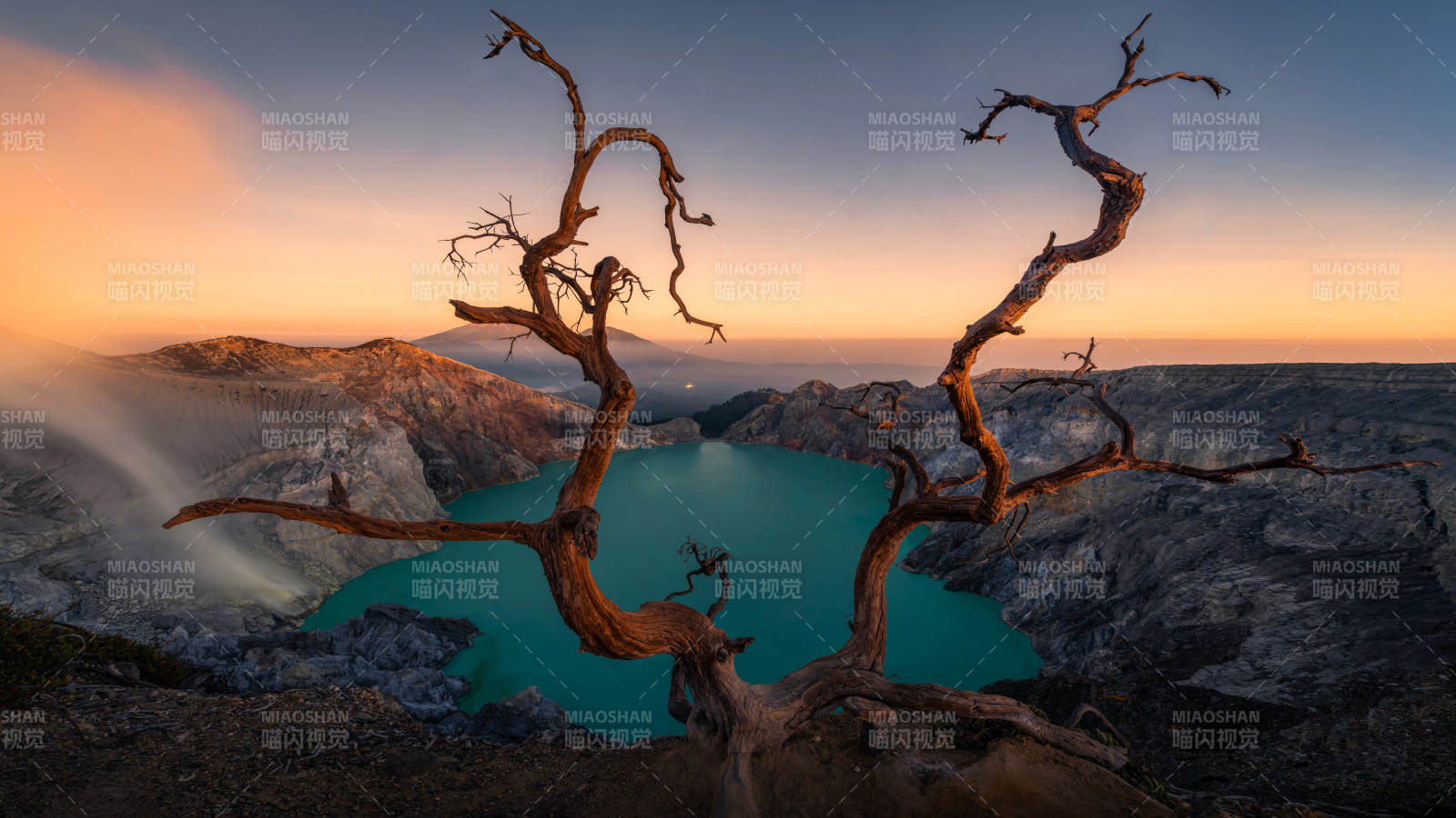 火山湖畔的枯樹剪影