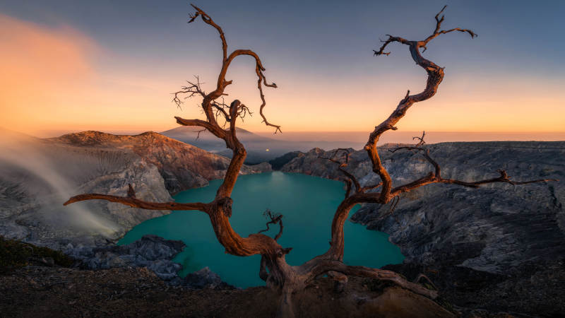 火山湖畔的枯樹剪影
